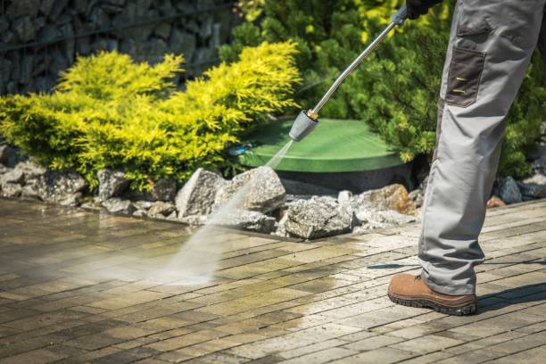 Best House Exterior Washing  in Wellington, FL
