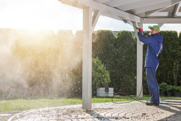 Animal Enclosure Cleaning in Wellington, FL